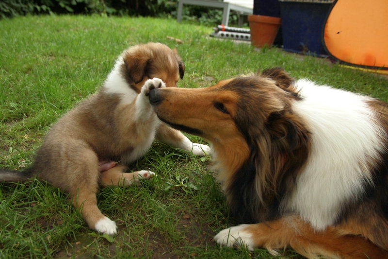 Berlioz mit Schwester Ana