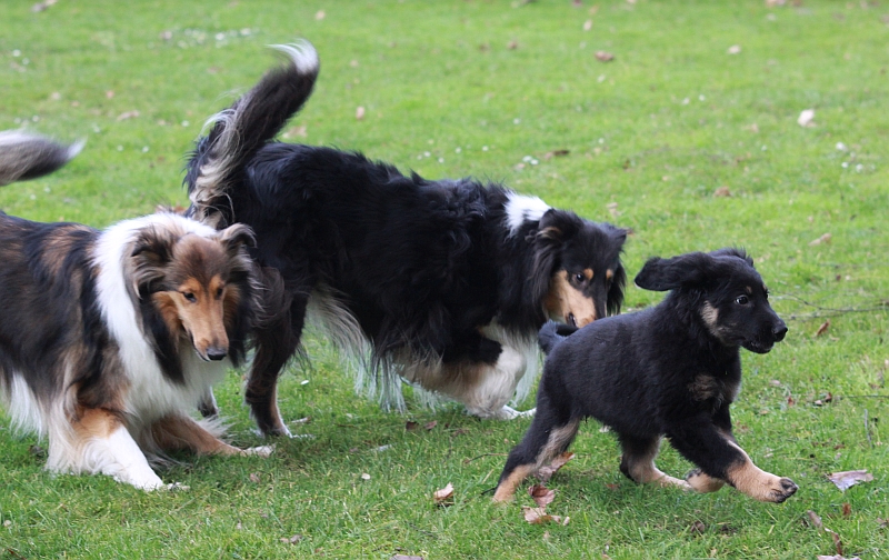 Ana, Rory und Caro